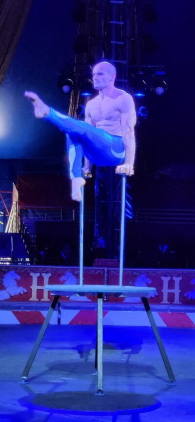 Equilibristas de circo